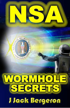 Cover of the book NSA Wormhole Secrets by R.A. Hobbs