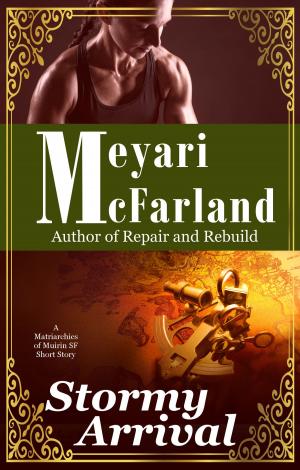 Cover of the book Stormy Arrival by Meyari McFarland