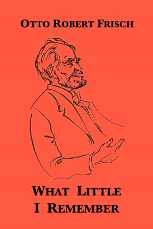 Cover of the book What Little I Remember by Sheldon M. Novick