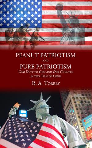 Cover of the book Peanut Patriotism and Pure Patriotism by James Hope Moulton