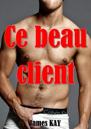 Book cover of Ce beau client