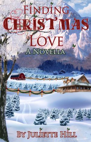 Cover of the book Finding Christmas Love by Juliette Hill