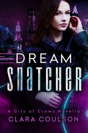 Book cover of Dream Snatcher
