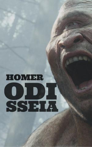 Cover of the book Odisseia by Kurtis Scaletta