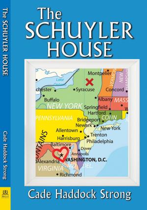 Cover of the book The Schuyler House by D Jordan Redhawk
