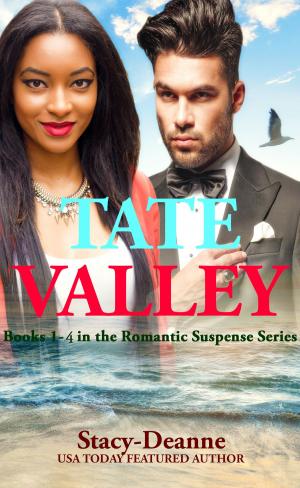 Cover of the book Tate Valley Romantic Suspense Series by Jasmine Schwartz