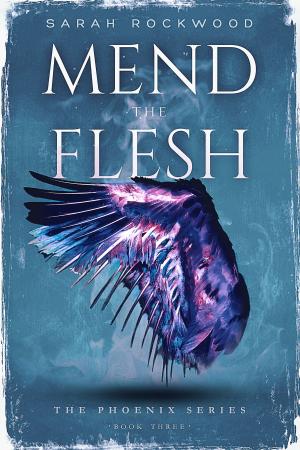 Cover of the book Mend The Flesh by Jaime Lee Mann