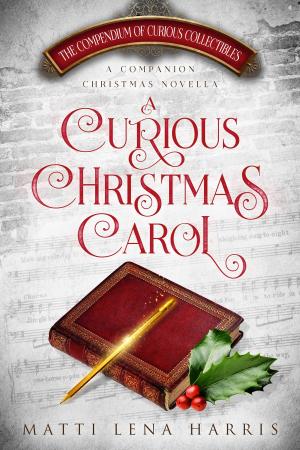 Cover of the book A Curious Christmas Carol by James Barlog
