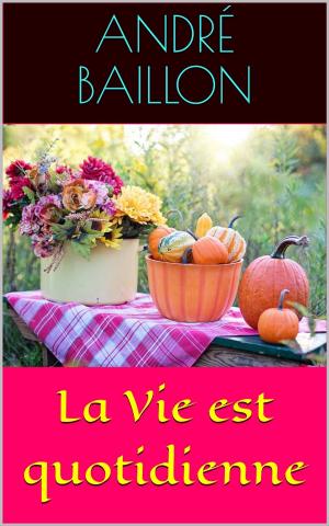 Cover of the book La Vie est quotidienne by François Jourde