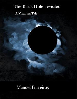 Book cover of The Black Hole revisited