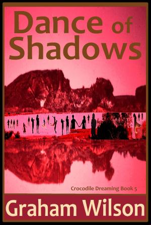 Cover of the book Dance of Shadows by Cathy Vasas-Brown