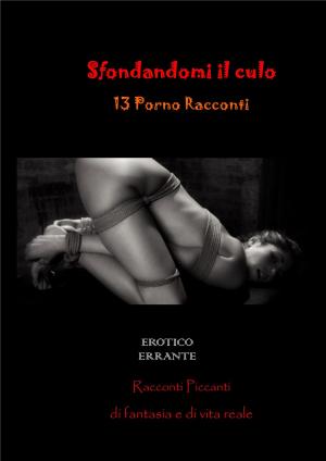 bigCover of the book Sfondandomi il culo by 