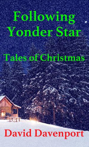 Book cover of Following Yonder Star