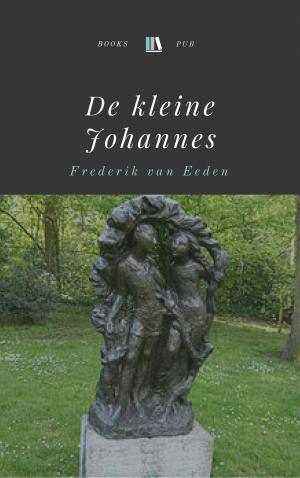 Cover of the book De kleine Johannes by Jean Webster