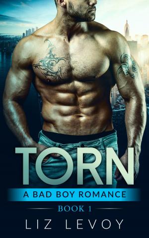 Cover of the book Torn 1 by Heikin Ashi Trader