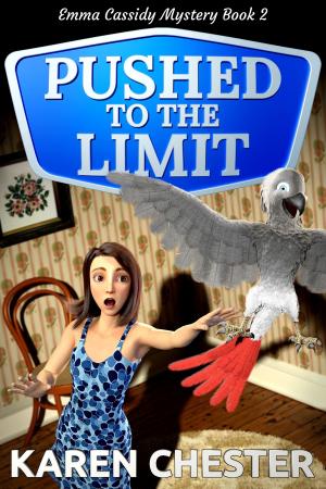 Cover of the book Pushed to the Limit (an Emma Cassidy Mystery Book 2) by Lisa Deckert