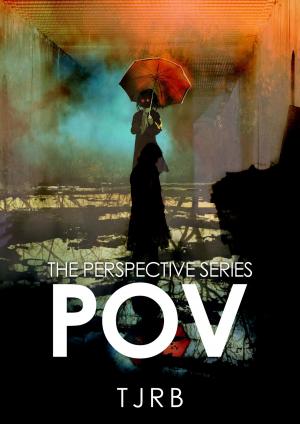 Cover of the book P.O.V. by JoAnn Wagner