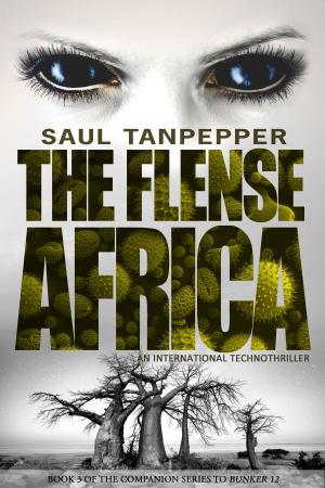 Cover of the book Africa by Steen Langstrup