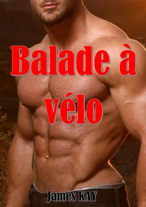 Cover of the book Balade à vélo by Mona Mora