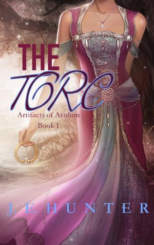 Cover of the book The Torc by DJ Erfert
