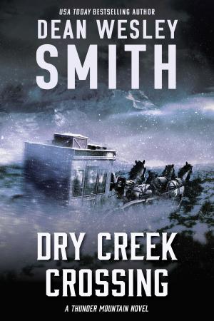 Cover of the book Dry Creek Crossing by Pulphouse Fiction Magazine, Dean Wesley Smith, ed., Jerry Oltion, Annie Reed, O'Neil De Noux, Kevin J. Anderson, Mary Jo Rabe, Ray Vukcevich, Michael Kowal, J. Steven York, Mike Resnick, David Stier, Valerie Brook, Sabrina Chase, Stephanie Writt, Kristine Kathryn Rusch, Kent Patterson, M. L. Buchman, Chuck Heintzelman, Robert Jeschonek