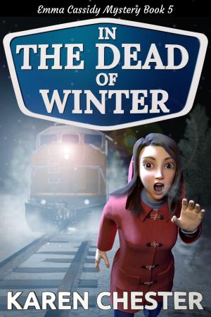 Book cover of In the Dead of Winter (an Emma Cassidy Mystery Book 5)