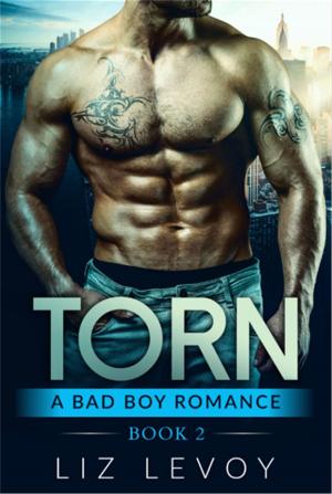 Cover of the book Torn 2 by Liz Levoy