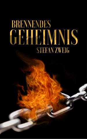 Cover of the book Brennendes Geheimnis by Николай Гоголь
