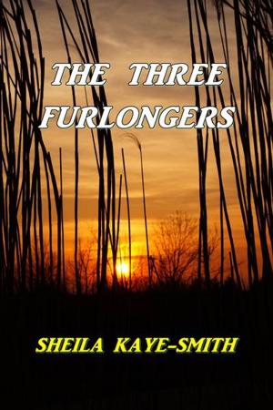 Cover of the book The Three Furlongers by H. Irving Hancock