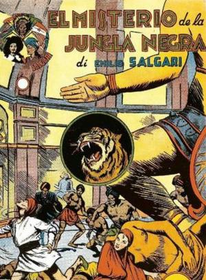 Cover of the book El misterio de la jungla negra by Sergio Martin