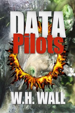 Cover of the book Data Pilots by Ethan Holmes