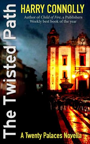 bigCover of the book The Twisted Path by 