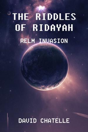 Cover of the book riddles of ridayah by Ashley Fetterman