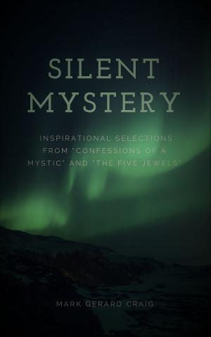 Book cover of Silent Mystery
