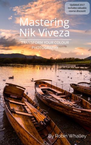 Cover of the book Mastering Nik Viveza by Brian L. Paulson