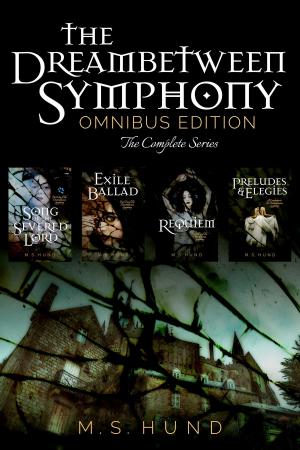 Cover of the book The Dreambetween Symphony by Icy Sedgwick
