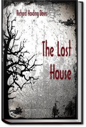 Book cover of The Lost House.