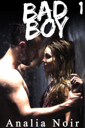 bigCover of the book Bad Boy (Tome 1) by 