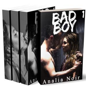 Cover of Bad Boy (L'Intégrale)