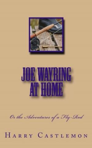 Cover of the book Joe Wayring at Home by David Cory