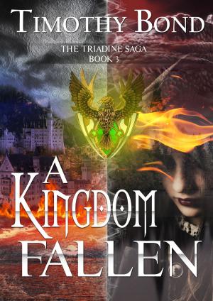 Cover of the book A Kingdom Fallen by Henry Hallan
