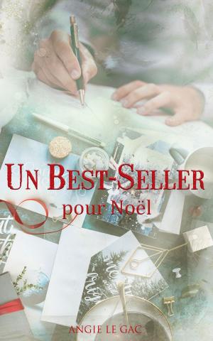 Cover of the book Un Best-Seller pour Noël by Katie Salidas