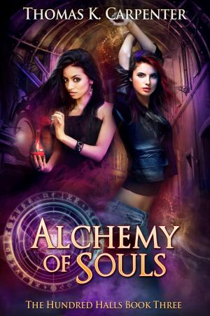 bigCover of the book Alchemy of Souls by 
