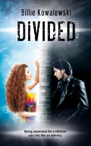 Cover of the book Divided by S.R. Mitchell