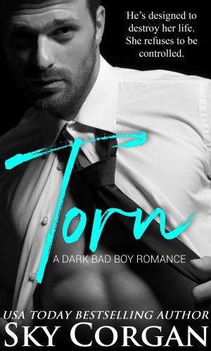 Book cover of Torn: A Dark Bad Boy Romance