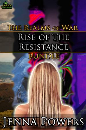 Cover of the book Rise of the Resistance by D.  H. Timpko