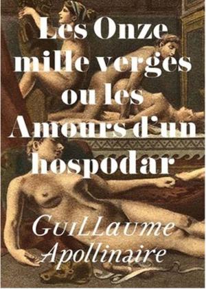 Cover of the book Les Onze mille verges ou les Amours d'un hospodar by Alfred de Musset