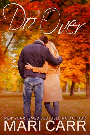 Cover of the book Do Over by Rachael Herron, Juliet Blackwell, Sophie Littlefield
