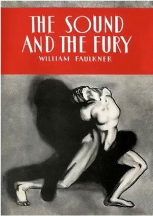 Cover of the book The Sound and the Fury by Matthys Ferreira