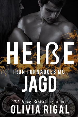 Book cover of Iron Tornadoes - Heiße Jagd